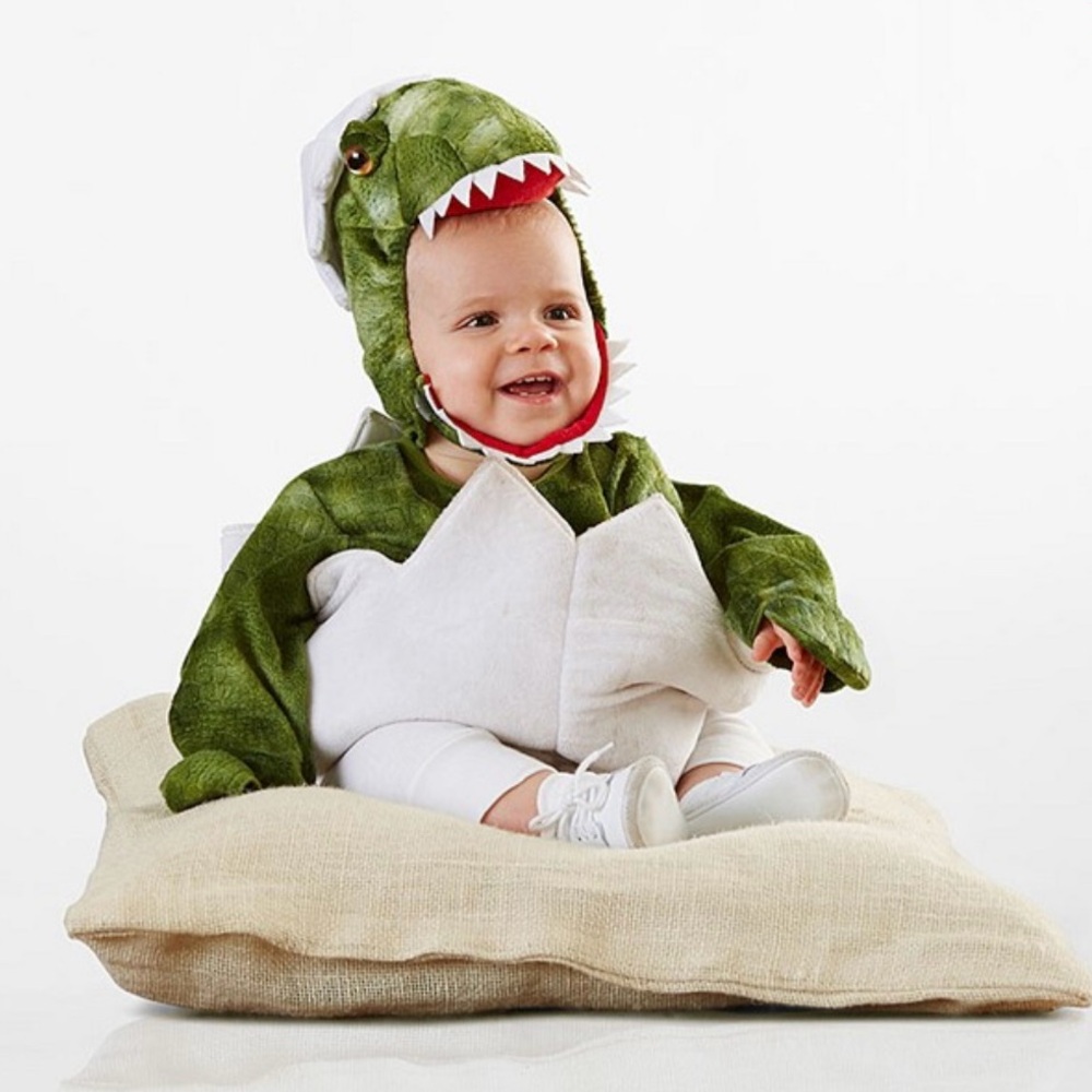 Pottery Barn Kids, Baby Dino Costume - Missing head piece